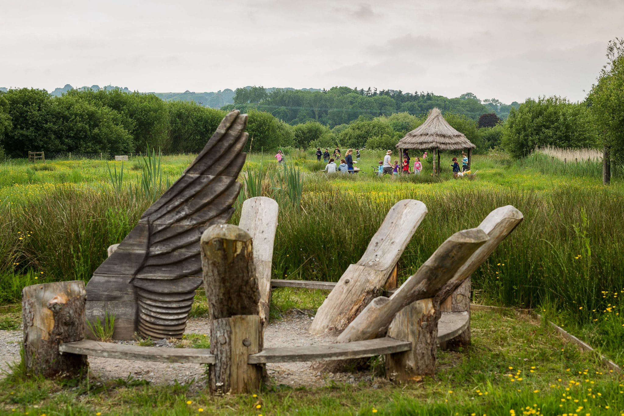 Photo of Seaton Wetlands