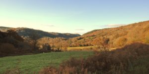 View up the Wray Valley to Lustleigh from the Wray Valley Trail