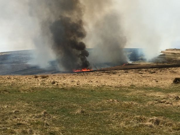 Photo of a wildfire in Devon