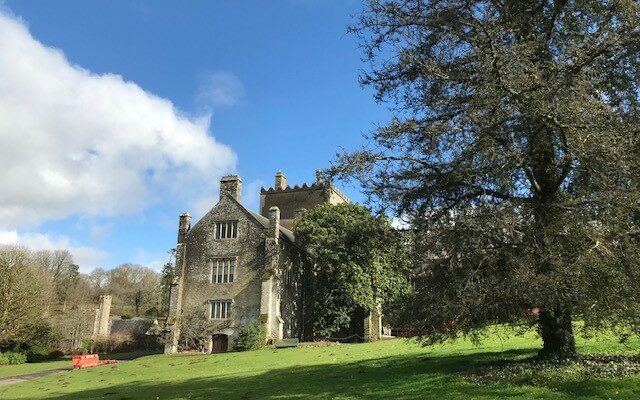 Large house and garden with tree.