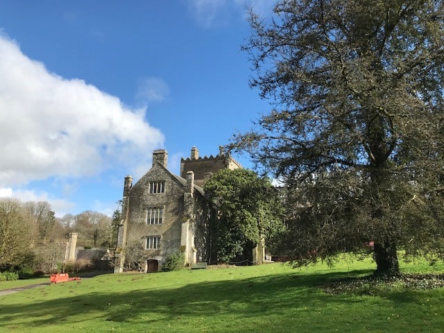 Large house and garden with tree.